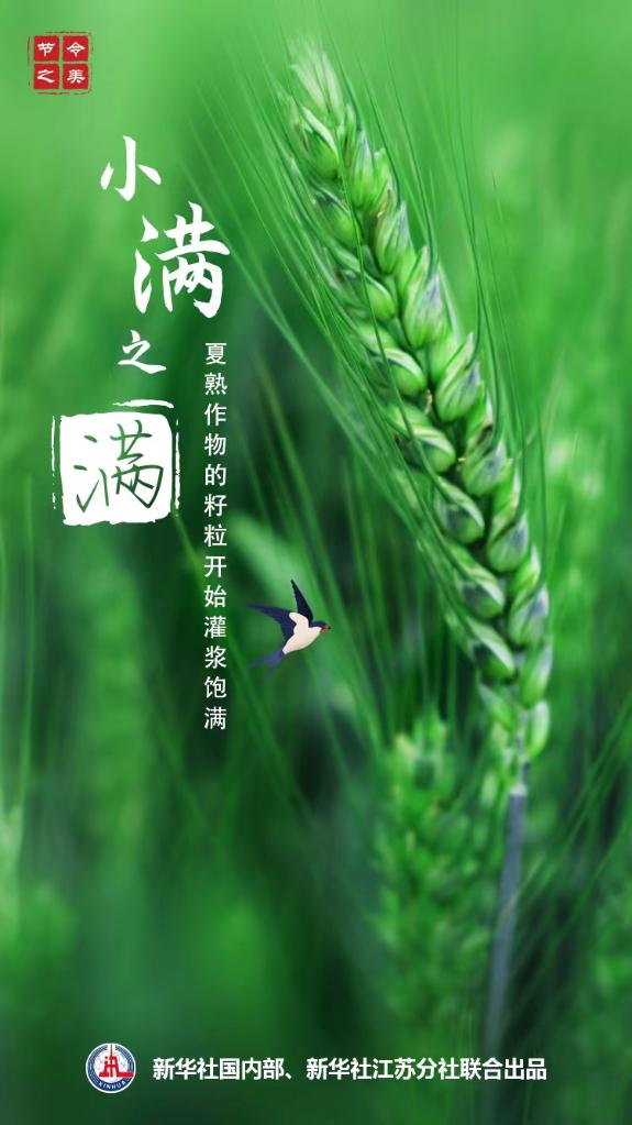 小滿(mǎn)說(shuō)“滿(mǎn)”