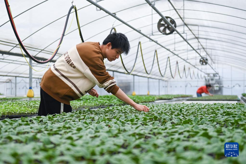 浙江:春耕備耕正當時