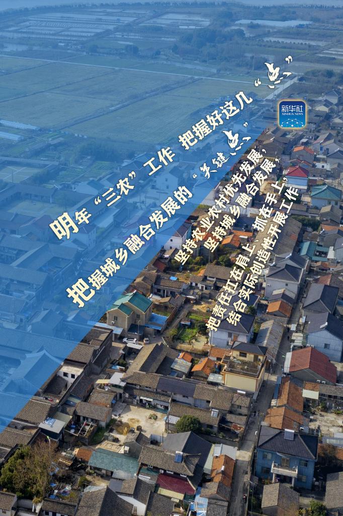 明年“三農(nóng)”工作，這幾個(gè)“點(diǎn)”要把握好