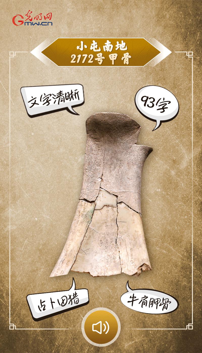 文物會(huì)說(shuō)話 | 殷墟博物館新館開館啦，帶你奔赴“千年之約”