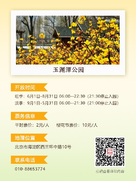 追花指南第二期！京城三月里最撩人的玉蘭觀賞地