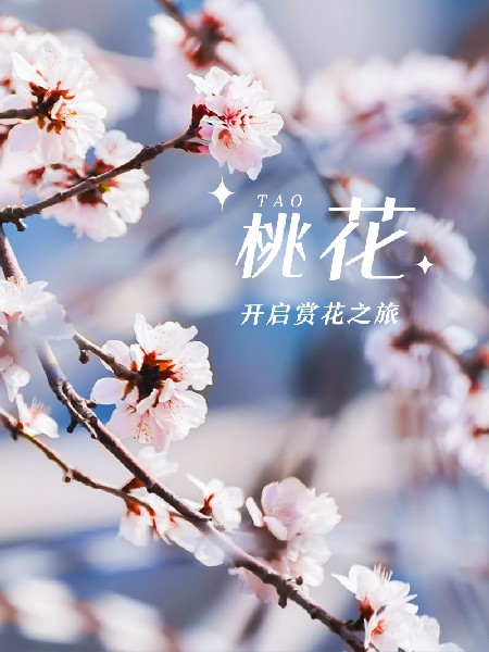 追花指南第三期！別等了 今天就去和桃花撞個(gè)滿(mǎn)懷