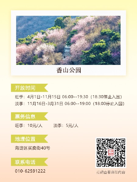 追花指南第六期！杏花雨 楊柳風(fēng) 北京最美的杏花在這里