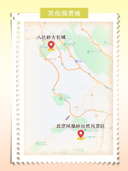 追花指南第六期！杏花雨 楊柳風(fēng) 北京最美的杏花在這里