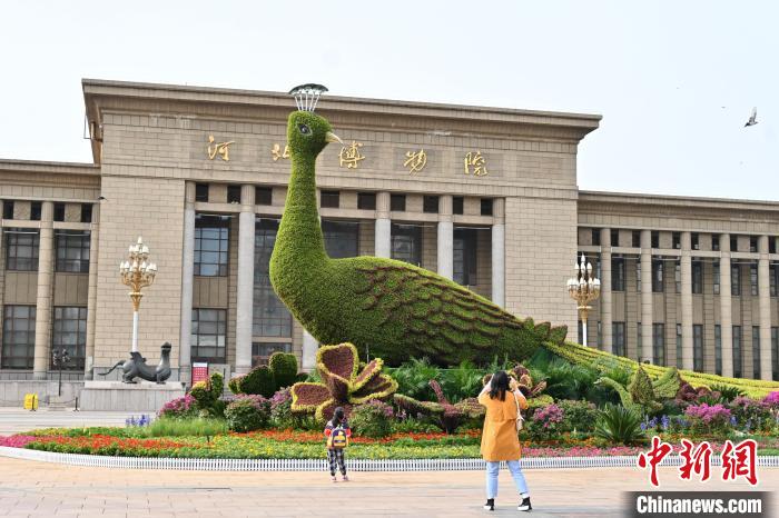 圖為游客在花壇前拍照打卡?！〉杂鸺?攝