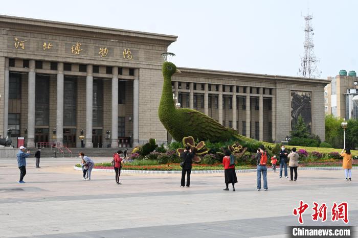 圖為游客在花壇前拍照打卡?！〉杂鸺?攝