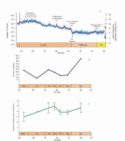 早始新世至早漸新世東亞嚙齒類屬級多樣性變化?！≈锌圃汗偶棺邓?供圖