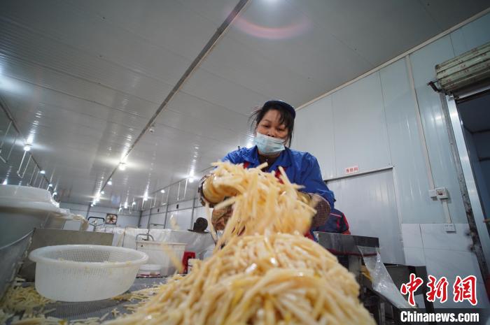 圖為一名工人正在處理切成條狀后的酸筍?！№f國(guó)政 攝