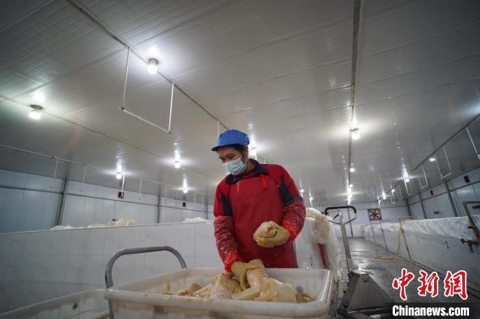 圖為一名工人正在查看酸筍腌制效果?！№f國(guó)政 攝