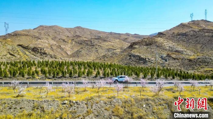 生態(tài)修復(fù)后逐漸變綠的賀蘭山石嘴山段?！∈焐绞形麄鞑抗﹫D
