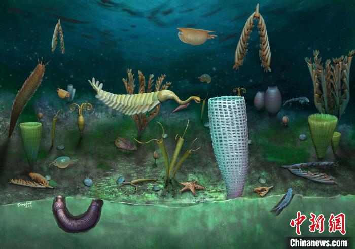 Castle Bank動物群藝術(shù)復(fù)原圖(Yang Dinghua繪制)?！∈┢樟指瘛ぷ匀?供圖