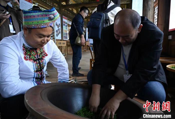 東盟國(guó)家媒體記者了解制茶工藝。　張卓 攝