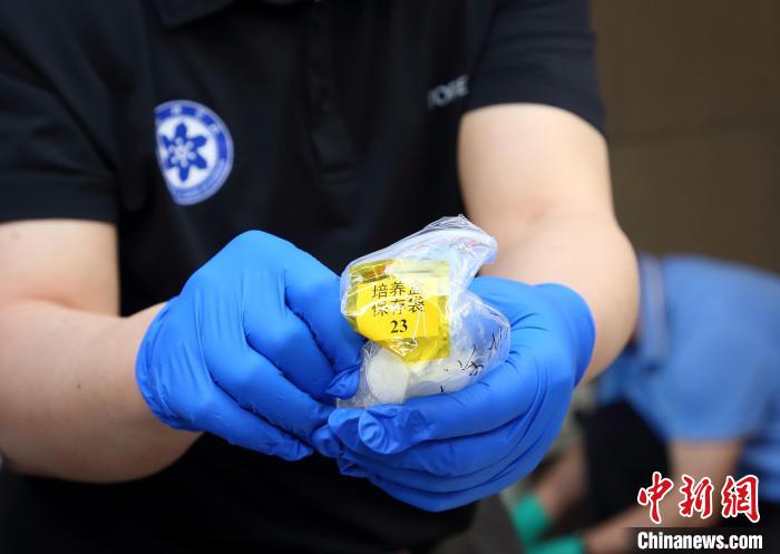 隨神舟十五號返回地面的空間科學實驗樣品?！≈锌圃嚎臻g應(yīng)用中心 供圖