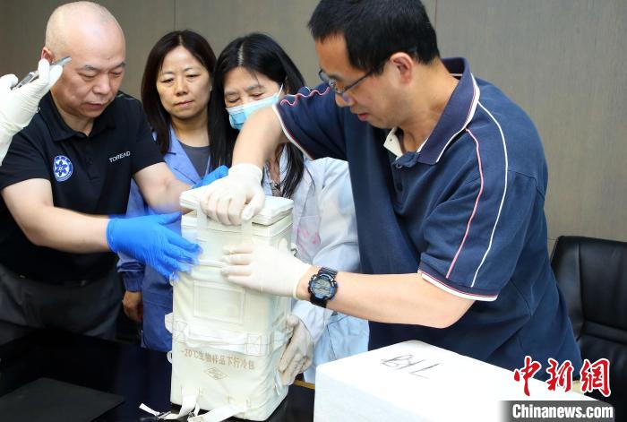 科研人員查看隨神舟十五號返回地面的空間科學實驗樣品?！≈锌圃嚎臻g應(yīng)用中心 供圖