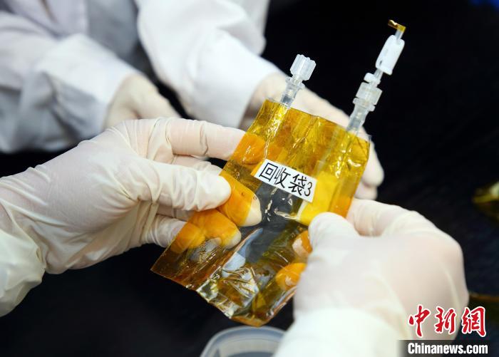 隨神舟十五號返回地面的空間科學實驗樣品。　中科院空間應(yīng)用中心 供圖