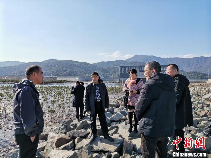 浙江海洋生態(tài)觀察：智慧大腦如何解鎖藍色發(fā)展密碼？