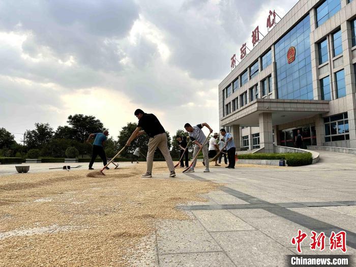 平原縣組織志愿者幫助農(nóng)民晾曬小麥?！垈?攝