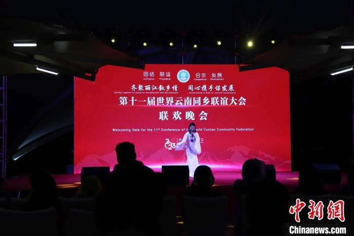 圖為第十一屆世界云南同鄉(xiāng)聯(lián)誼大會(huì)舉辦聯(lián)歡晚會(huì)?！〈抻澜?攝