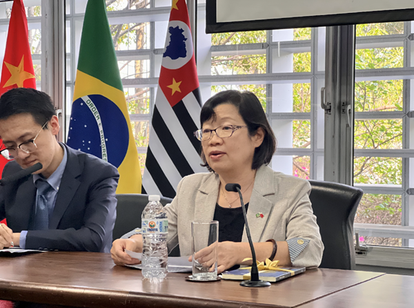 中國(guó)駐圣保羅總領(lǐng)事陳佩潔致辭。中國(guó)駐圣保羅總領(lǐng)館供圖