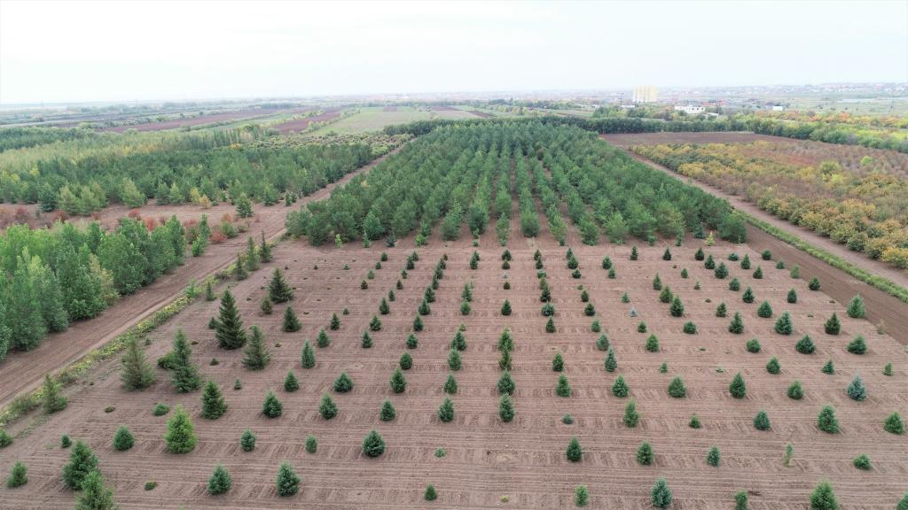 這是2023年9月11日在哈薩克斯坦首都阿斯塔納拍攝的一處植物種質資源苗圃（無人機照片）。新華社發(fā)（法爾哈特·圖克諾夫 攝）