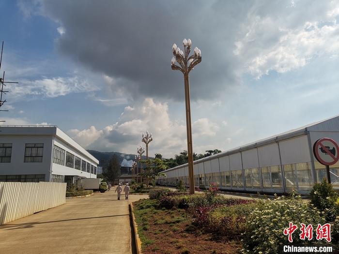 圖為園區(qū)生活區(qū)。 受訪者供圖