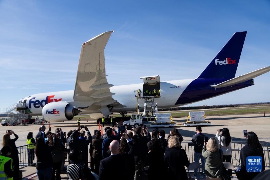 11月8日，在美國弗吉尼亞州的華盛頓杜勒斯國際機(jī)場，裝有大熊貓的特制“旅行包廂”準(zhǔn)備運(yùn)上專機(jī)。新華社記者劉杰攝