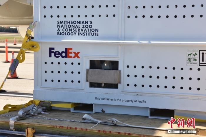 當(dāng)?shù)貢r(shí)間11月8日，美國(guó)華盛頓史密森學(xué)會(huì)國(guó)家動(dòng)物園的大熊貓“美香”“添添”和它們的幼崽“小奇跡”乘坐的專(zhuān)機(jī)從華盛頓杜勒斯國(guó)際機(jī)場(chǎng)起飛前往中國(guó)成都。圖為裝有大熊貓的特制“旅行箱”。<a target='_blank' href='/'><p  align=