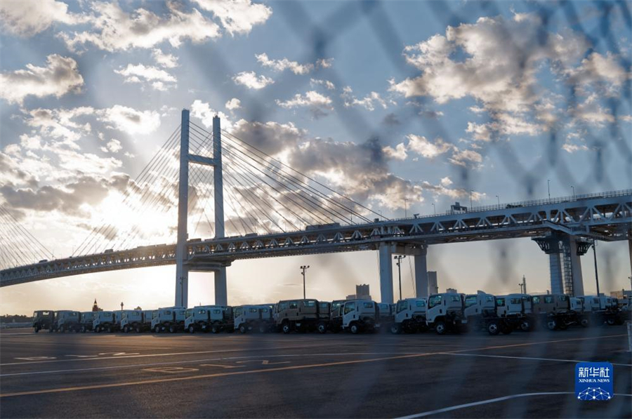 這是11月14日在日本橫濱拍攝的進(jìn)出口汽車集散場地。新華社記者 張笑宇 攝