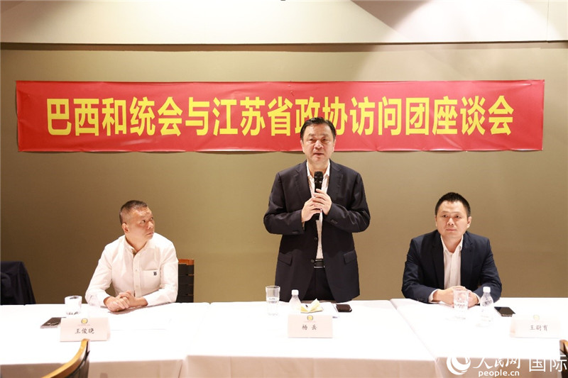 江蘇省政協(xié)副主席楊岳（中）在座談會上致辭。人民網記者 陳海琪攝