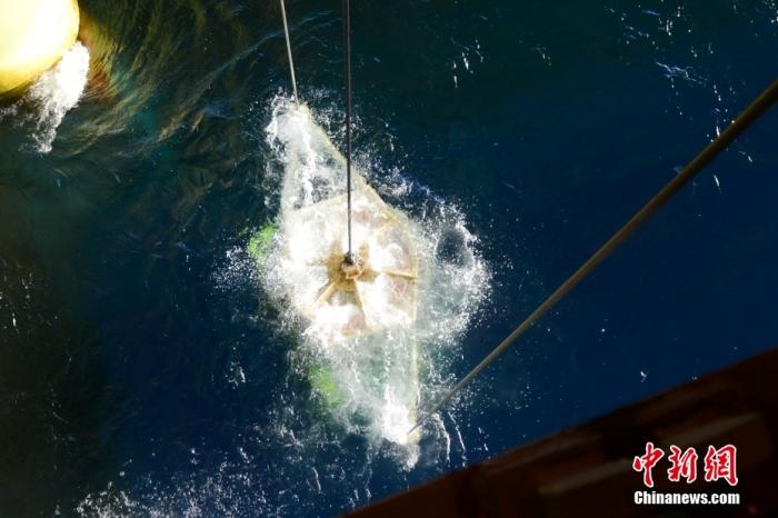 機(jī)器人入水瞬間。<a target='_blank' href='/' _fcksavedurl='/' ><p  align=