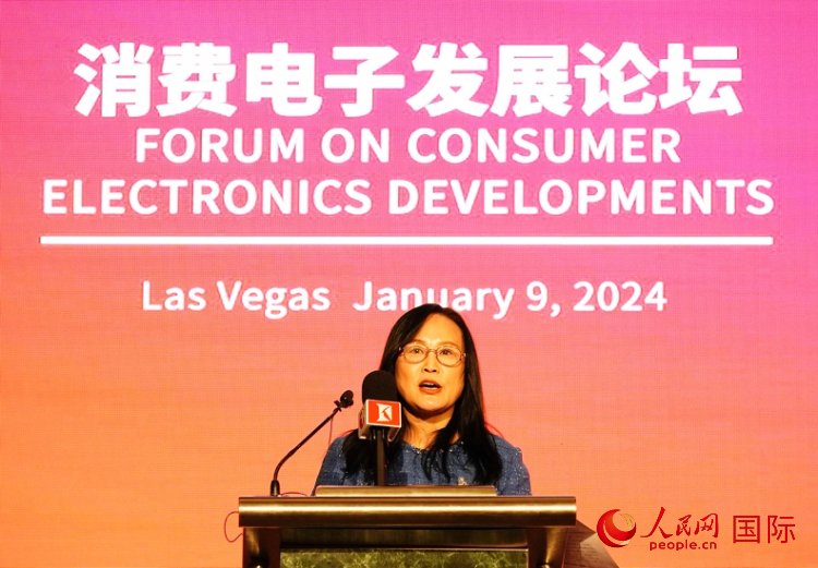 中國機(jī)電產(chǎn)品進(jìn)出口商會副會長劉春致辭。人民網(wǎng)記者 鄧圩攝