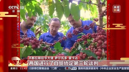 飽含美好祝愿與期待 洪都拉斯駐華大使:期待自己在中國(guó)度過(guò)的第一個(gè)春節(jié)