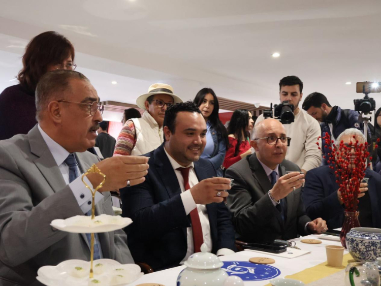 觀眾興致勃勃地體驗茶藝。陳芷珊攝