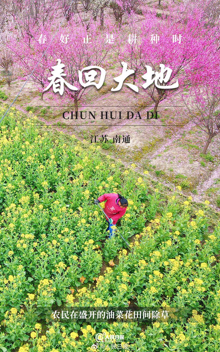 生機盎然！用課本封面打開春耕畫卷