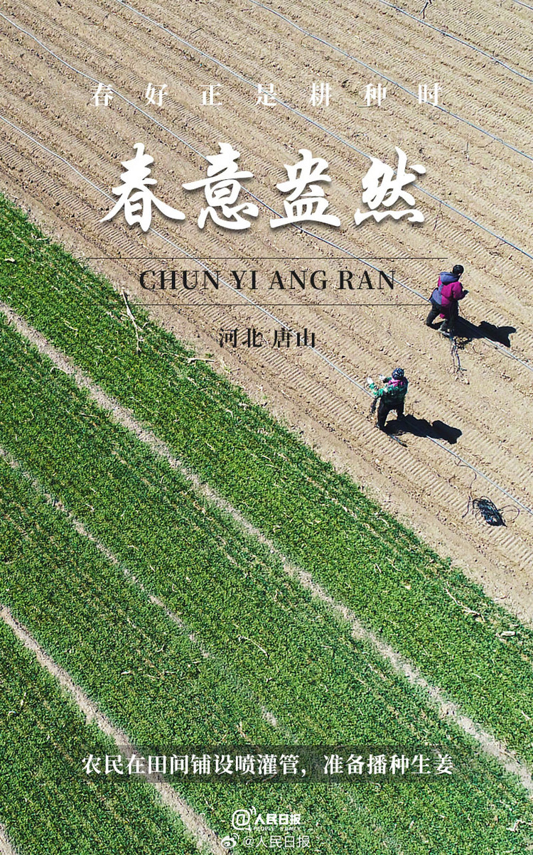 生機盎然！用課本封面打開春耕畫卷