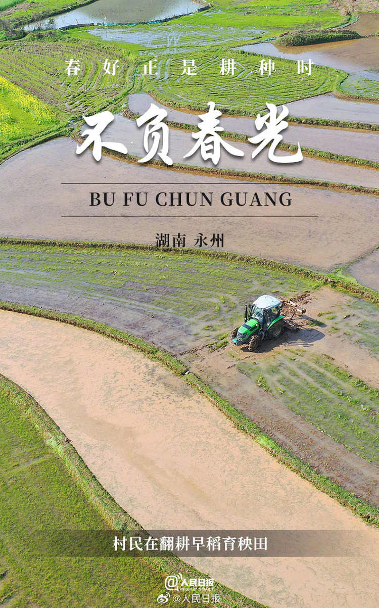 生機盎然！用課本封面打開春耕畫卷