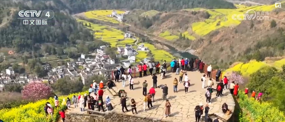 “春日經(jīng)濟”熱力十足 “賞花+”融合煥新創(chuàng)造發(fā)展場景式消費新機遇