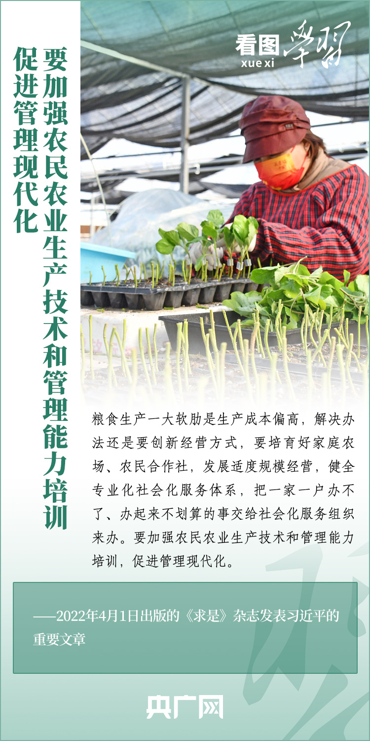 看圖學習丨推廣良田、良種、良法、良機 給農(nóng)業(yè)現(xiàn)代化插上科技的翅膀