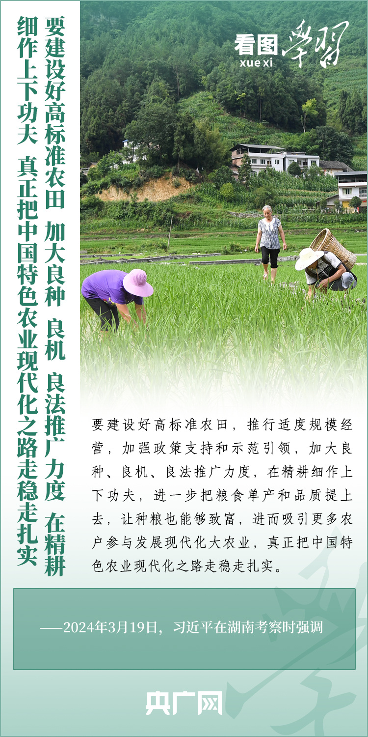 看圖學習丨推廣良田、良種、良法、良機 給農(nóng)業(yè)現(xiàn)代化插上科技的翅膀