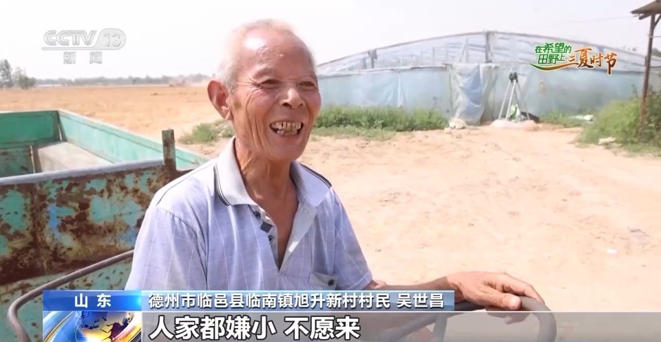 “三夏”生產(chǎn)思維導(dǎo)圖安排上了！還有政府大院等你來“曬”