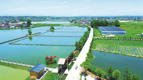 近年來，大成橋鎮(zhèn)堅持加強(qiáng)黨對鄉(xiāng)村治理的集中統(tǒng)一領(lǐng)導(dǎo)，該鎮(zhèn)鄉(xiāng)村治理模式入選第二批全國鄉(xiāng)村治理典型案例。圖為美麗的大成橋鎮(zhèn)。（資料圖片）