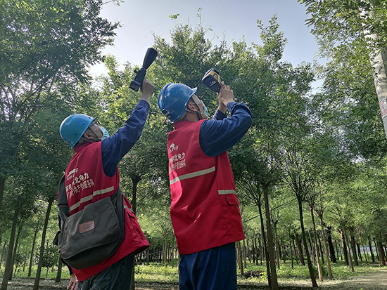 工作人員進(jìn)行紅外測溫及超聲波局部放電檢測。 王亮攝