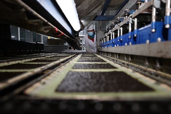 柘汪紫菜產(chǎn)業(yè)園內(nèi)入駐企業(yè)的紫菜生產(chǎn)線。贛榆區(qū)委宣傳部供圖