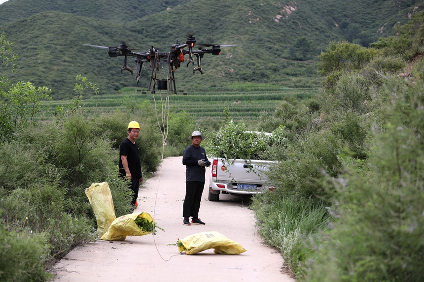 在石家莊市井陘縣吳家窯鄉(xiāng)長峪村荒山造林現場，一名無人機手操控無人機運輸樹苗。王保龍攝