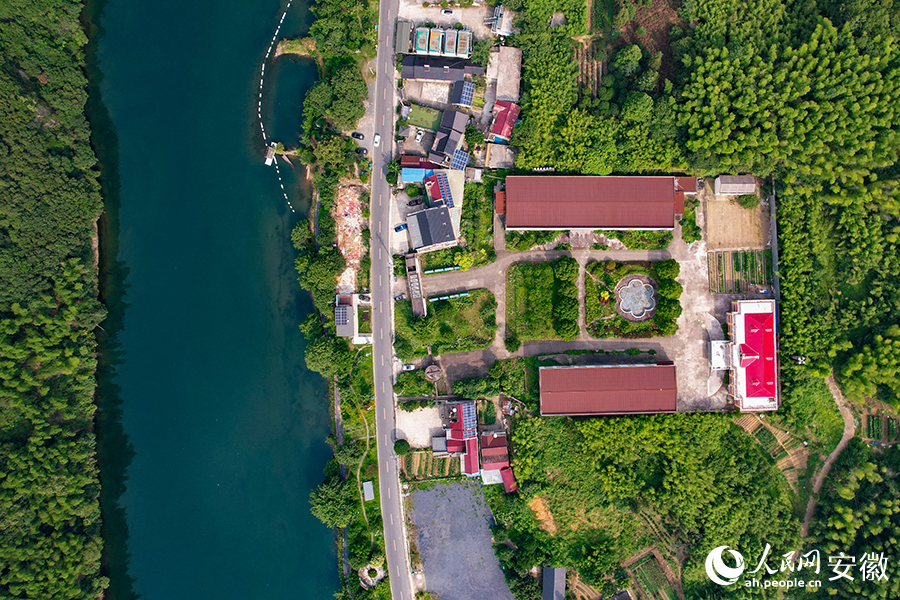 儲(chǔ)家灘民宿區(qū)。人民網(wǎng)記者 苗子健攝