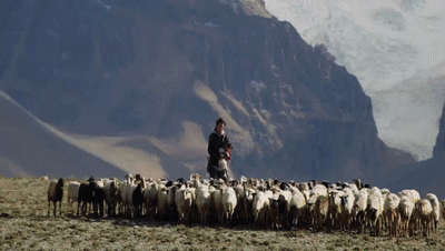 你看了嗎？藏語版《日光之城》“含金量”還在上升！