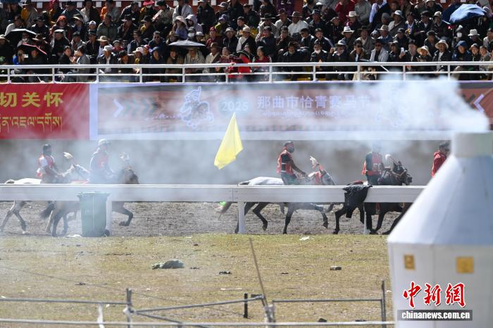 西藏那曲恰青賽馬節(jié):速度與耐力的草原盛宴