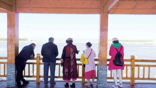 湟魚(yú)洄游奇觀(guān)吸引游人。