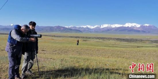 圖為工作人員正在進(jìn)行黑頸鶴衛(wèi)星跟蹤和環(huán)志工作?！∑钸B山國(guó)家公園青海省管理局供圖 攝