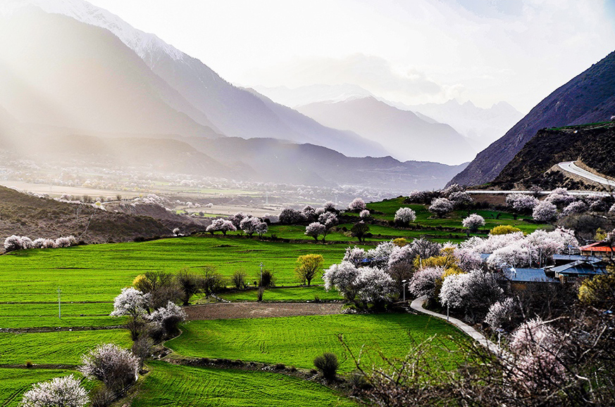 西藏林芝市波密縣傾多鎮(zhèn)八朵卡的田園風光(攝于4月5日)。新華網 達娃攝.jpg